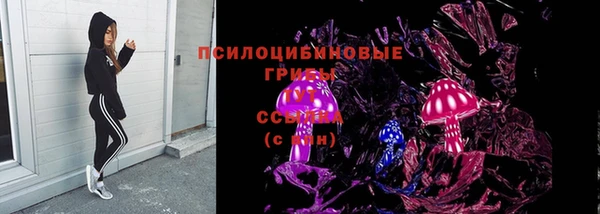 spice Абинск